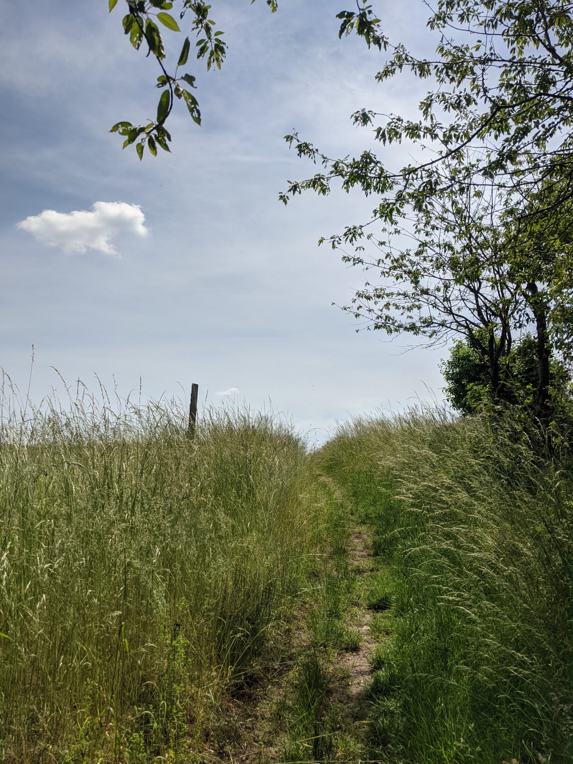 PXL_20210615_100303371