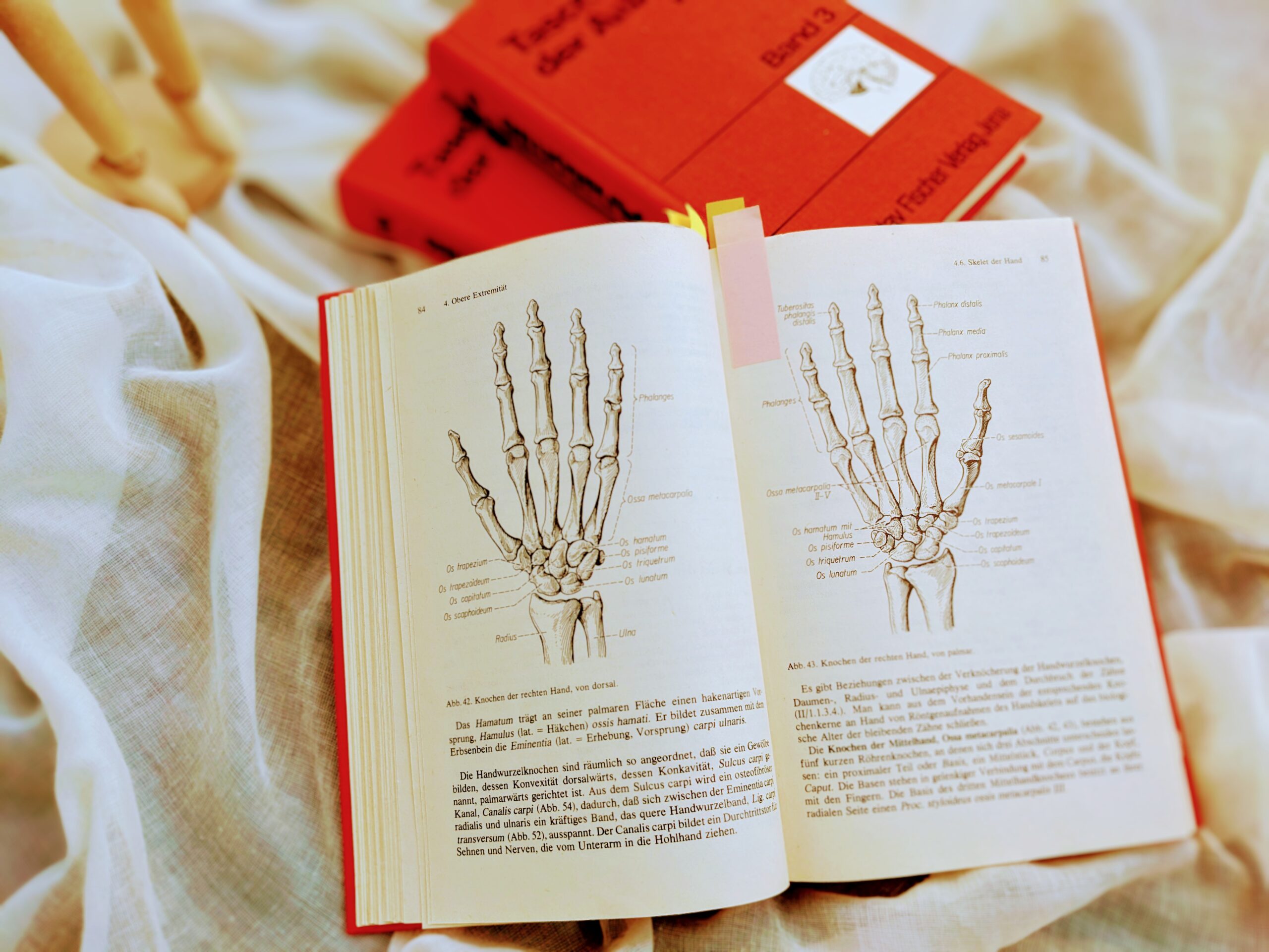 PXL_20230912_142448640~3