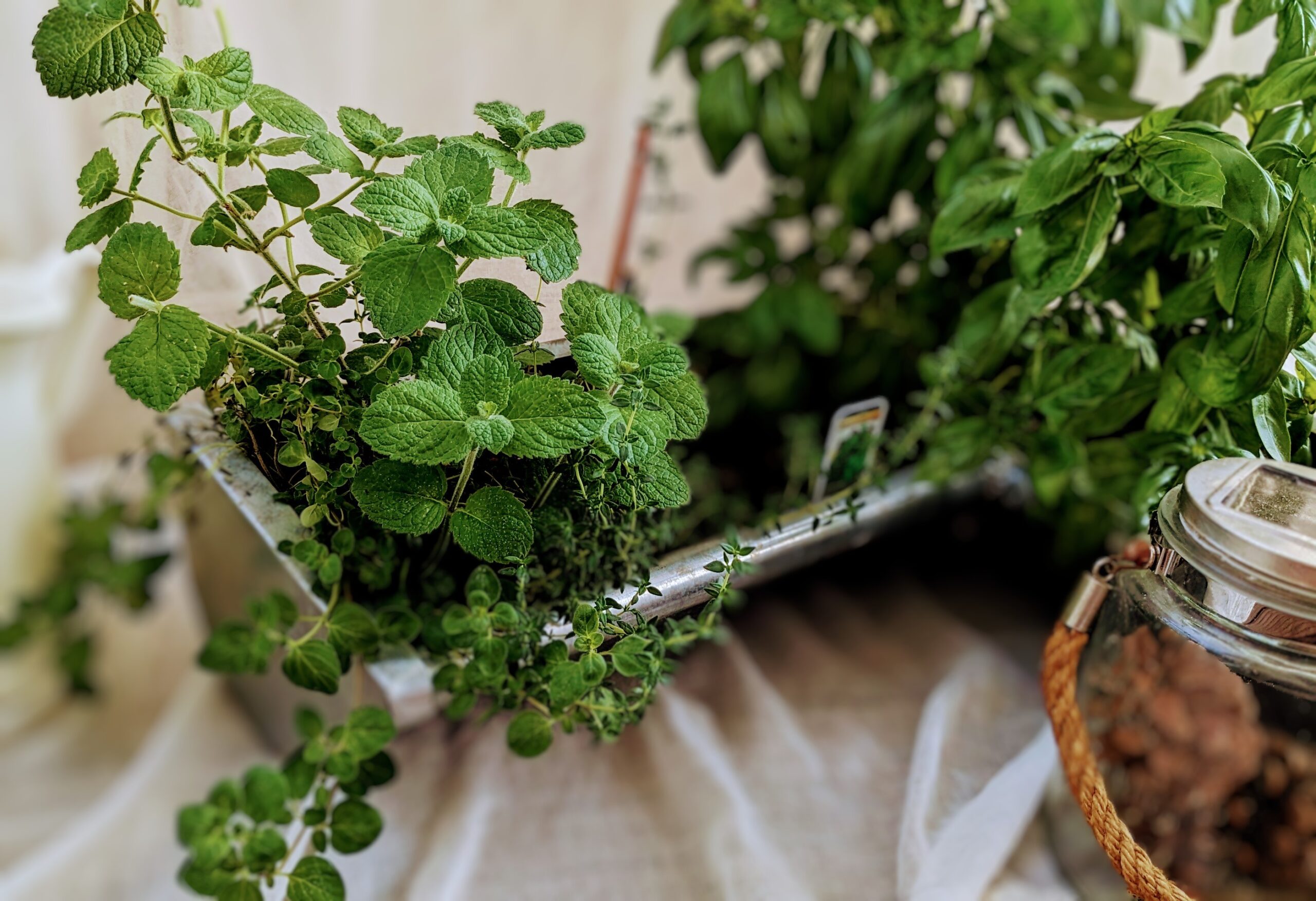 PXL_20230912_144311566~3